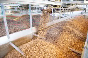 AKM_ kartoffelbunker_9984