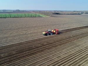 Potato Planting
